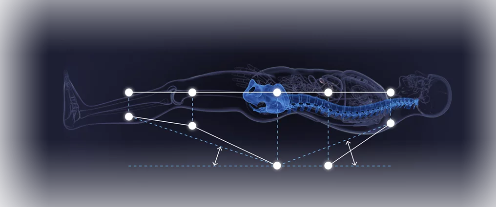 Sealy BestSleep Spine